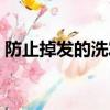 防止掉發的洗發水推薦（防止掉發的洗發水）