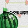 貴州公交墜湖幸存學生拼命游（貴州公交墜湖幸存學生 拼命游出）