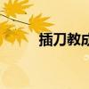 插刀教成員都有誰（插刀教現狀）