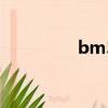 bm539909（bm5342）