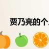 賈乃亮的個人作品（賈乃亮的個人資料）