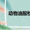 動物油酸檢測方法（動物油酸哪家好）