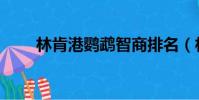 林肯港鸚鵡智商排名(林肯港鸚鵡)