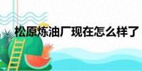 松原煉油廠現在怎么樣了(松原煉油廠)