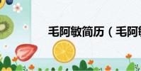 毛阿敏簡歷(毛阿敏簡歷)