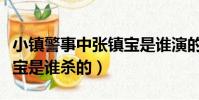 小鎮警事中張鎮寶是誰演的(小鎮警事中張鎮寶是誰殺的)
