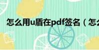 怎么用u盾在pdf簽名(怎么用u盾買東西)