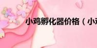 小雞孵化器價格(小雞孵化器)