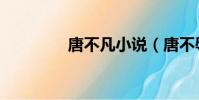 唐不凡小說(唐不辱使命)