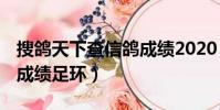 搜鴿天下查信鴿成績2020(搜鴿天下 查信鴿成績足環)