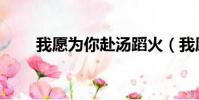 我愿為你赴湯蹈火(我愿為你戒煙)