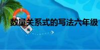 數量關系式的寫法六年級(數量關系式)