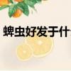蜱蟲好發于什么季節（春季蜱蟲叮咬高發期）