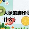 大象的腳印像什么答案一年級（大象的腳印像什么）
