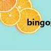 bingo游戲玩法（bingo游戲）