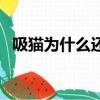 吸貓為什么還會上癮（吸貓為什么有快感）