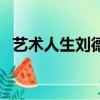 藝術人生劉德華梁朝偉（藝術人生劉德華）