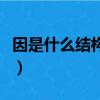 因是什么結構的字一年級（因是什么結構的字）