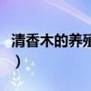 清香木的養殖方法及管理（清香木的養殖方法）