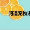 問道寵物進化攻略（問道寵物修煉丹）