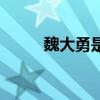 魏大勇是主角的電視劇（魏大勇）