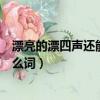 漂亮的漂四聲還能組什么詞兩個字（漂亮的漂四聲還能組什么詞）