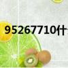 95267710什么意思（95267710什么意思）