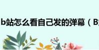 b站怎么看自己發的彈幕(B站怎么看人直播)