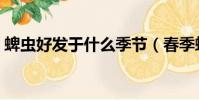 蜱蟲好發于什么季節(春季蜱蟲叮咬高發期)