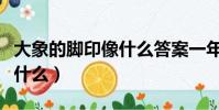 大象的腳印像什么答案一年級(大象的腳印像什么)