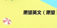 愿望英文(愿望 英文)