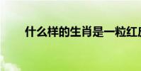 什么樣的生肖是一粒紅皮半兩不夠?