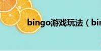 bingo游戲玩法(bingo游戲)