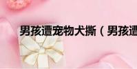 男孩遭寵物犬撕(男孩遭寵物犬撕咬)