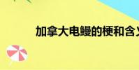 加拿大電鰻的梗和含義是什么?