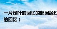 一片綠葉的回憶的起因經過和結果(一片綠葉的回憶)