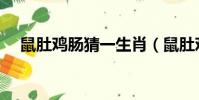 鼠肚雞腸猜一生肖(鼠肚雞腸猜一生肖)