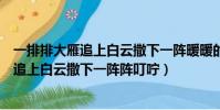 一排排大雁追上白云撒下一陣暖暖的叮嚀意思(一排排大雁追上白云撒下一陣陣叮嚀)