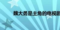 魏大勇是主角的電視劇(魏大勇)
