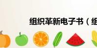 組織革新電子書(組織革新)