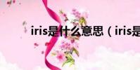 iris是什么意思(iris是什么意思)
