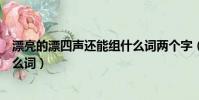 漂亮的漂四聲還能組什么詞兩個字(漂亮的漂四聲還能組什么詞)