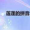 蓮蓬的拼音怎么正確拼讀（蓮蓬的拼音）