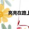 亮亮在路上怎么停播了（亮亮在路上）