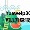 huaweip30可以升級鴻蒙系統嗎（華為p30可以升級鴻蒙系統嗎）