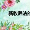 新收養法的內容是怎樣的（新收養法）