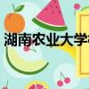 湖南農業大學校徽原圖（湖南農業大學校徽）