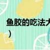魚膠的吃法大全圖解視頻（魚膠的吃法和做法）