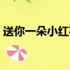 送你一朵小紅花圖片（送你一朵小紅花劇情）