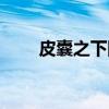 皮囊之下網劇吻戲（皮囊之下網劇）